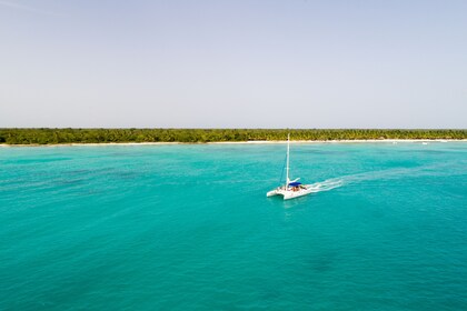 Saona Island Highlights Tour by Boat with Buffet Lunch from Punta Cana