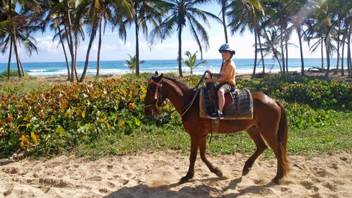 Horseback Riding Experience to Maimon River from Punta Cana