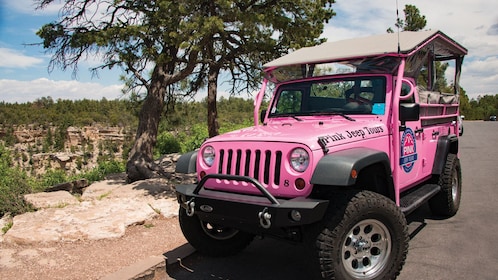 Jeeptour met woestijnzicht vanaf de South Rim van de Grand Canyon