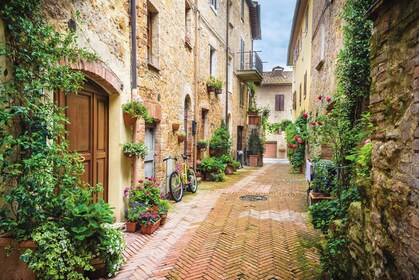 Pienza und Montepulciano Wein Tour