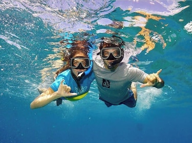 Luksus Molokini & Turtle Snorkel Sail med frokost, lunsj og åpen bar