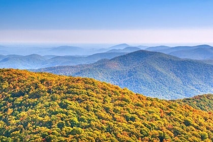 Half-Day Wine Tastings in the North Georgia Mountains