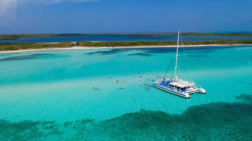 Cozumel: El Cielo, Palancar Reef en Strandfeest met eten