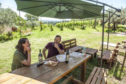 Montepulciano: Cinta Senese-Tour mit Essensverkostung