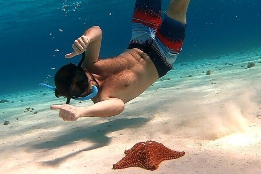 Cozumel Snorkel Tour: Starfish, Stingrays and Turtle Bay Experience