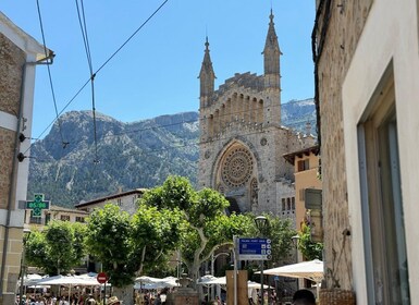 Tramuntana Panorama Tour - Soller, Deiá, Valldemossa