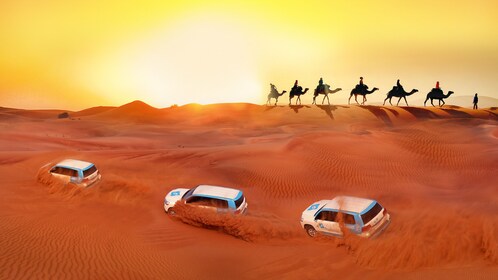 Premium Red Dunes Safari, Camel Ride & BBQ Buffet Dinner at Al Khayma Camp