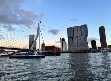 Rotterdam: Waterbusticket naar Dordrecht en/of Kinderdijk