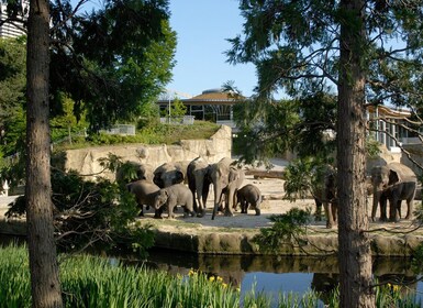 Köln: Eintrittskarte für den Kölner Zoo und das Aquarium