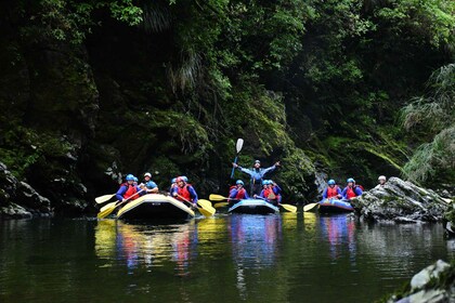 Wellington: Te Awa Kairangi klasse 3 raftingtur