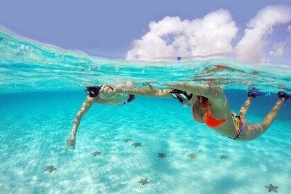 Cozumel-snorkeltocht: Palancar, Columbia en El Cielo-riffen