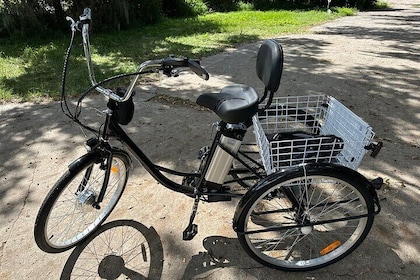 Experience Wild Florida Nature Up Close on Electric Trike (2 hrs)