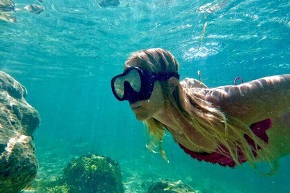 Guided Snorkel Experience, Free Videos in West Palm Beach