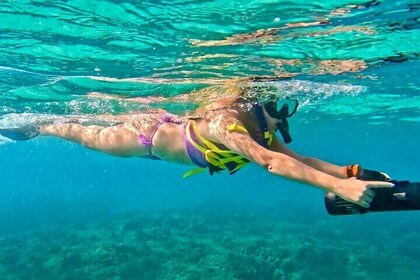 Guided Jet Snorkel Experience, Free Videos in West Palm Beach