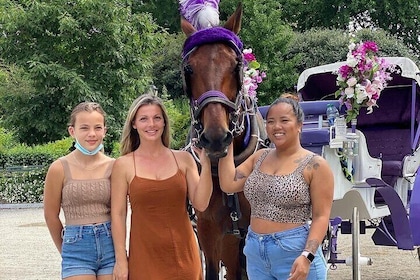 NYC Central Park Horse Carriage Rides