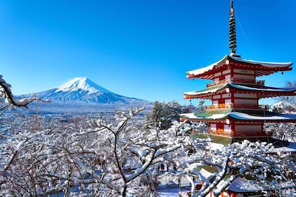 Tokyo: Mount Fuji and Lake Kawaguchi Scenic 1-Day Bus Tour