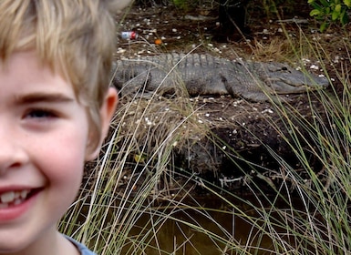 Orlando Alligator Experience: Dagstur fra Orlando