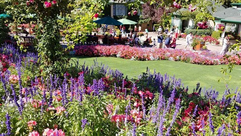 Visite privée de Victoria et des jardins de Butchard au départ de Vancouver