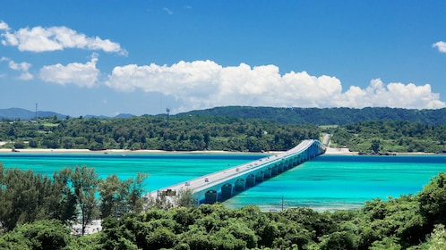 Kouri Island, Churaumi Aquarium & American Village Bus Tour C course