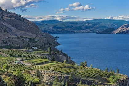 Private Summerland’s Bottleneck Drive Wine Tour from Kelowna