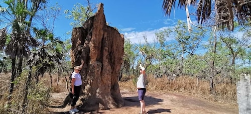 From Darwin: Litchfield National Park Day Trip with Transfer