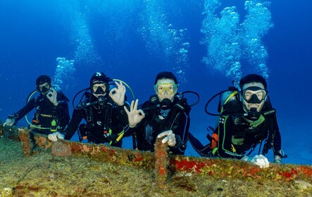 Cozumel: Open Water PADI Duikcursus