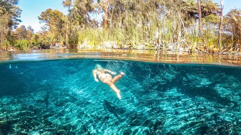 Katherine Gorge - Mataranka - Edith Falls - Adelaide River