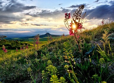 Prag: Bohemian Uplands Granat Panning&Animal Farm 4WD Tour