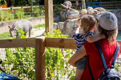 Orlando: Central Florida Zoo spring køen over Billet