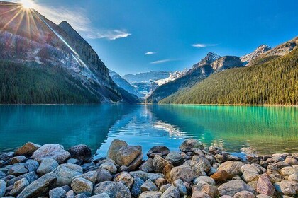 Private Banff Day Tour Lake Louise, Moraine, Peyto & More Sights!