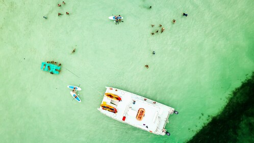 Halfdaagse Key West's Ultieme Zandbank Avontuur met Mangrove Kajak