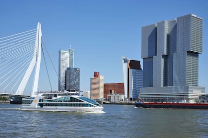 Rotterdam: Rondvaart door de haven