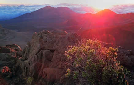 Soloppgangstur i Haleakala nasjonalpark