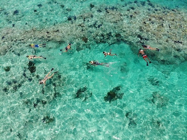 Ochtend snorkelen in koraalrif met mimosa's en ontbijt