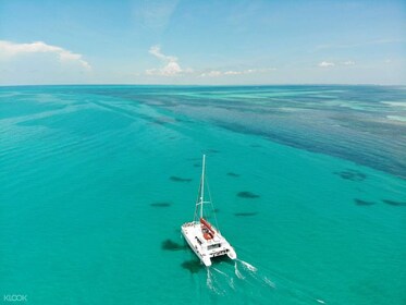 Day trip to Paradise from Miami: Key West Tour with Snorkeling, Open bar