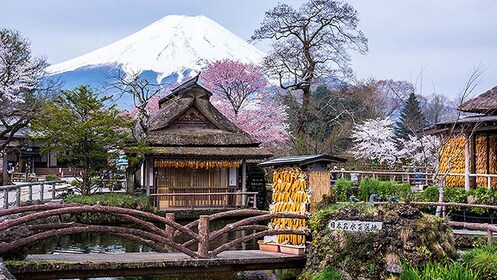 Tokyo Mt. Fuji and Oshino Hakkai Bus Tour