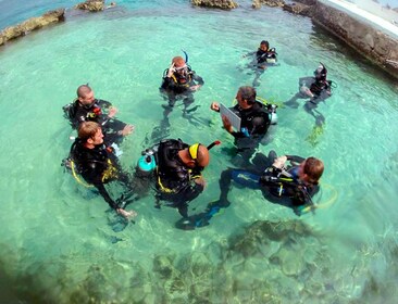 Duikcursus Cozumel in één dag