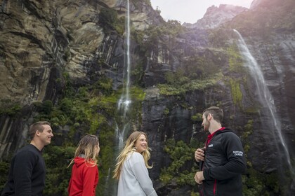 Milford Sound Coach & Nature Cruise from Te Anau with lunch