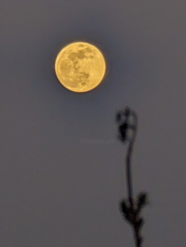 Фотография под названием "Gary's Moon" - Aby Golden Lady B, Подлинное произведение искусства, Не манипулируемая фотография У…