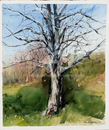 Malerei mit dem Titel "ARBOL EN INVIERNO" von Maylu Garcia (María Luisa García), Original-Kunstwerk, Aquarell