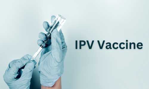 Inactivated Polio Vaccine