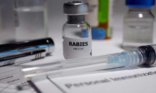 Rabies Vaccine