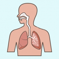 Espirometria y evaluación de la función pulmonar