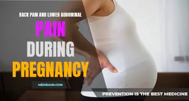 The Connection Between Back Pain and Lower Abdominal Pain Throughout Pregnancy