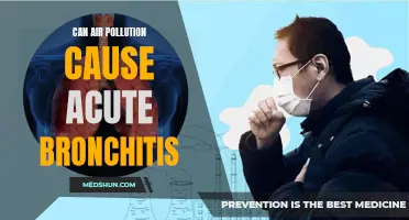 Air Pollution and Acute Bronchitis: Understanding the Connection