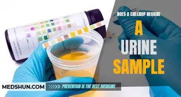 Urine Sample: Essential for a Comprehensive Checkup?