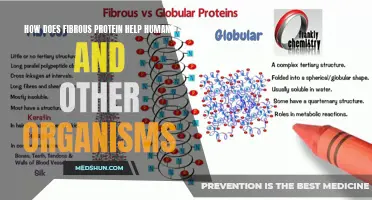 Unraveling the Power of Fibrous Proteins: Benefits for All Organisms