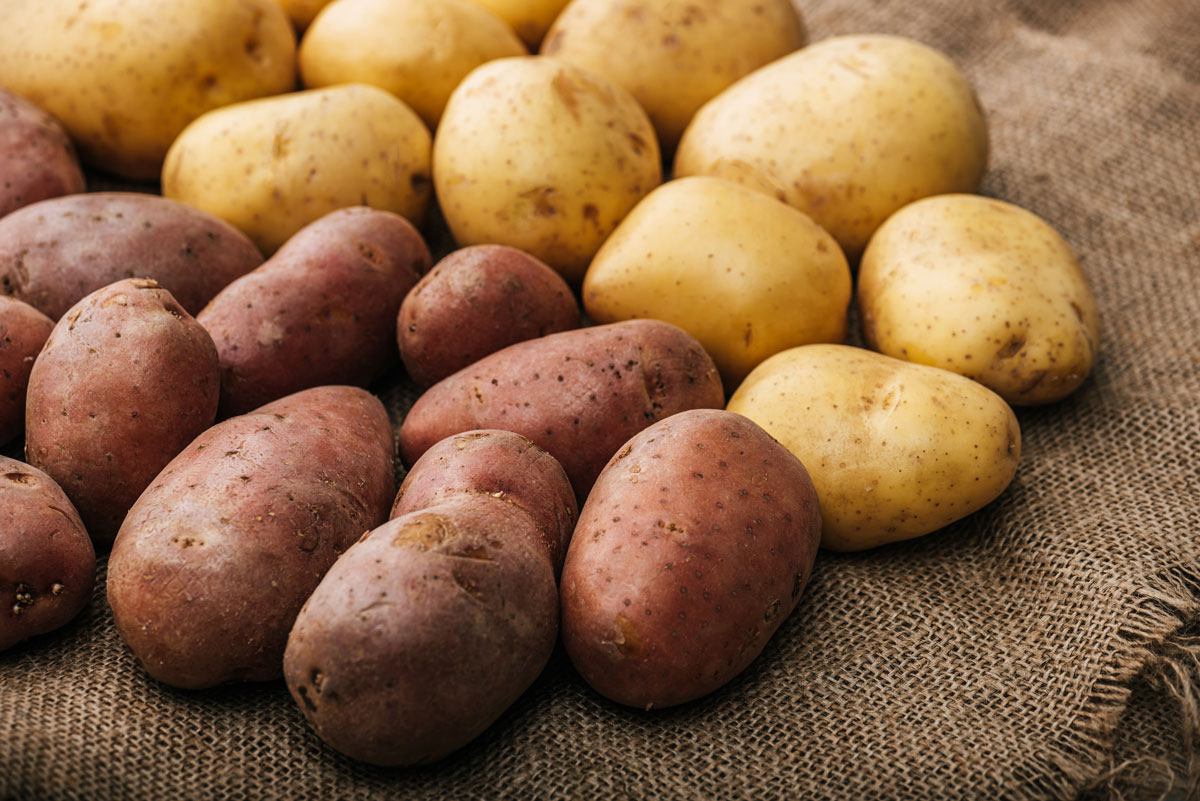 Red and yellow potatoes arranged on a burlap sack.