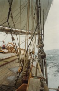 pride - tall ships - marinalife