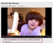 A mushroom cant say banana